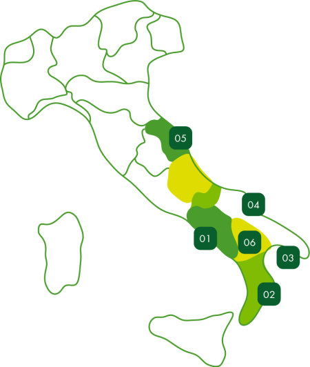 produzione-op-melodia